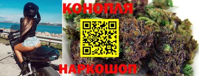 гашик Пыть-Ях