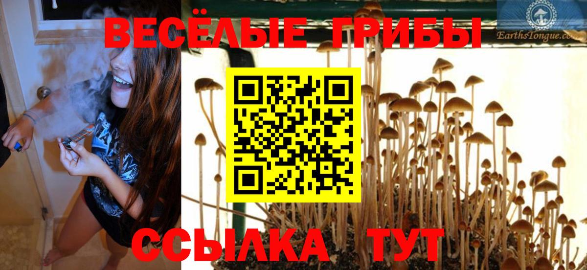 Ачхой-Мартан  Псилоцибиновые грибы MAGIC MUSHROOMS  Вход с VPN  Галлюциногенные грибы GOLDEN TEACHER 