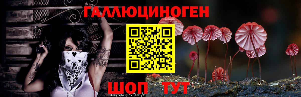 Галлюциногенные грибы Cubensis Ачхой-Мартан